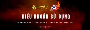 điều khoản sử dụng - luongsontv0